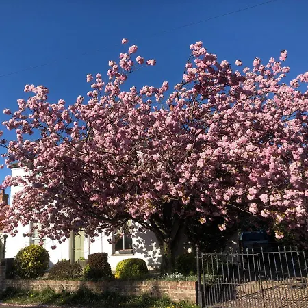 Cherry Tree Feriehus