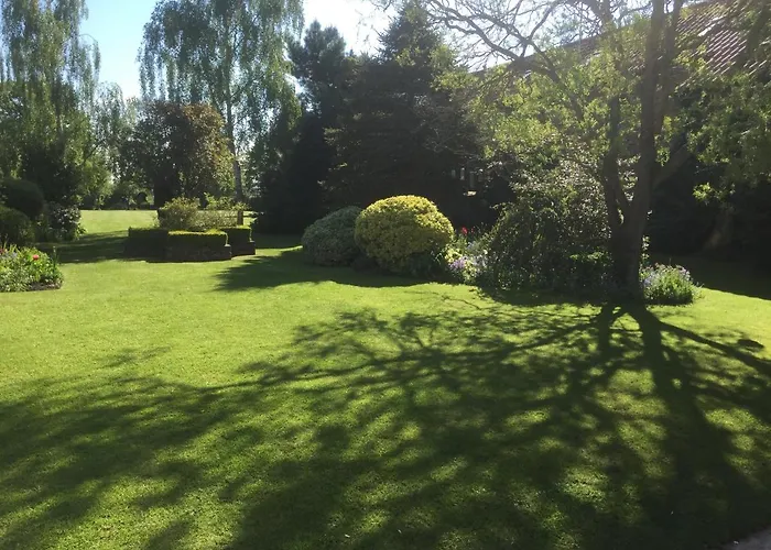 Cherry Tree * 요크